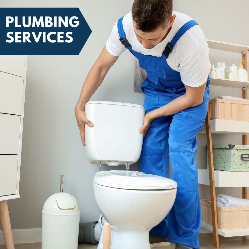 Plumbing Company in Colden, NY